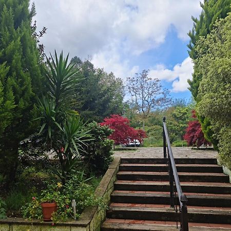 Posada Las Mozas Del Agua De Ríocorvo Exterior photo