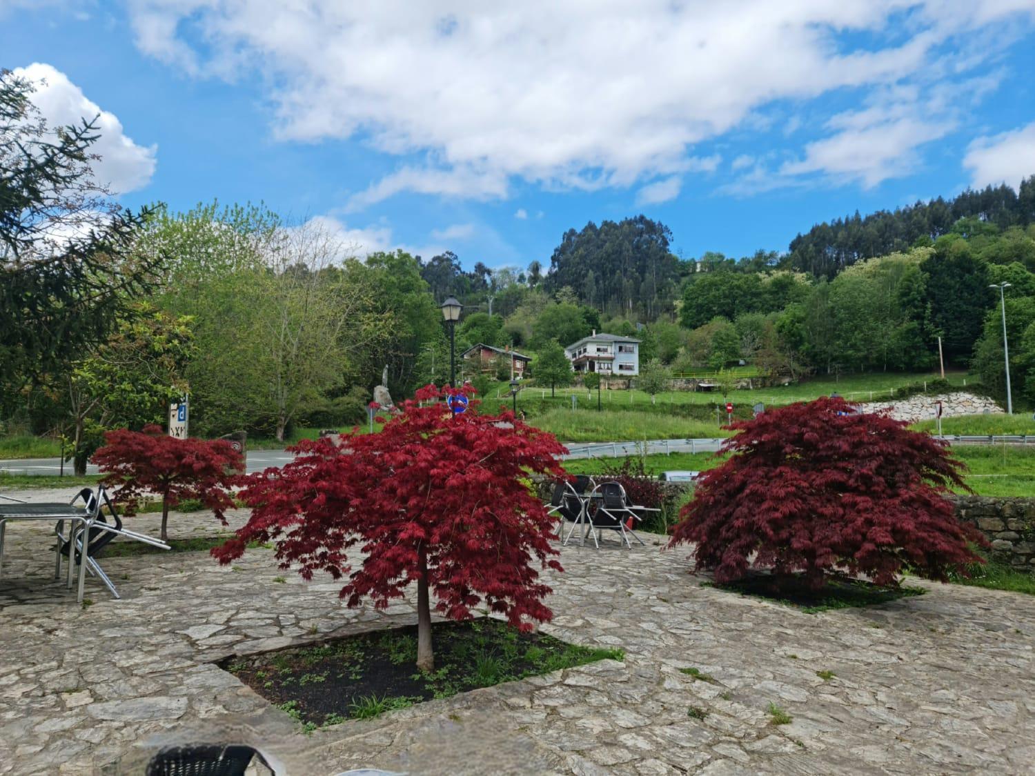 Posada Las Mozas Del Agua De Ríocorvo Exterior photo